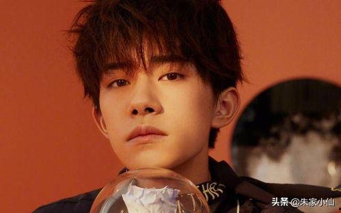 娱乐吃瓜杨洋视频大全